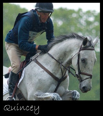 Mark Todd riding Quincey